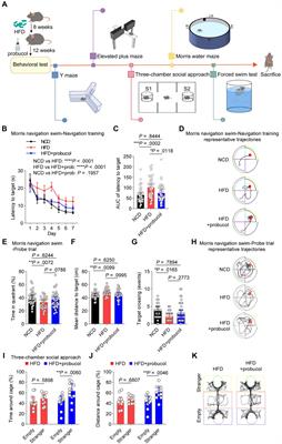 Probucol mitigates high-fat diet-induced cognitive and social impairments by regulating brain redox and insulin resistance